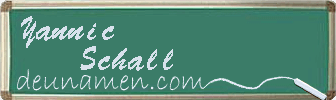 Yannic Schall Visitenkarte